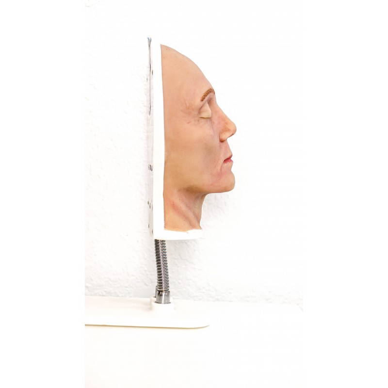 Facial Injection Mannequin
